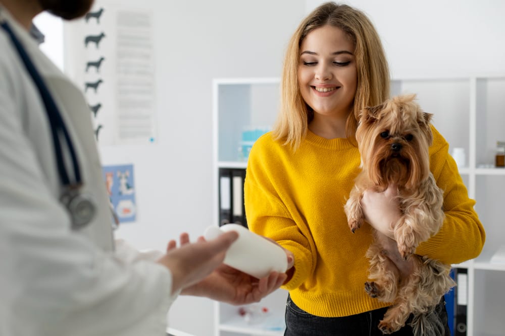 Happy family with their golden retriever at home, researching affordable pet insurance savings tips on a tablet.