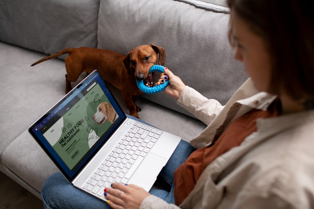 Pet parent comparing pet insurance quotes on laptop with happy dog beside – 2025

