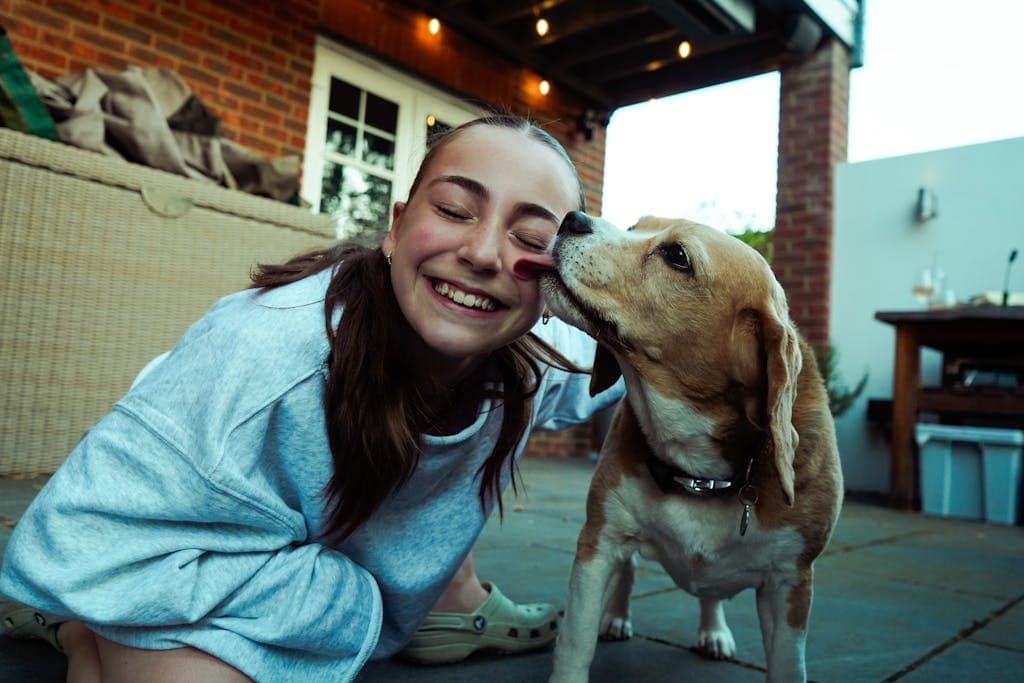 Pet insurance claim process step-by-step