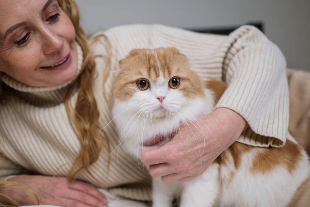 "Veterinarian examining a cat in clinic"