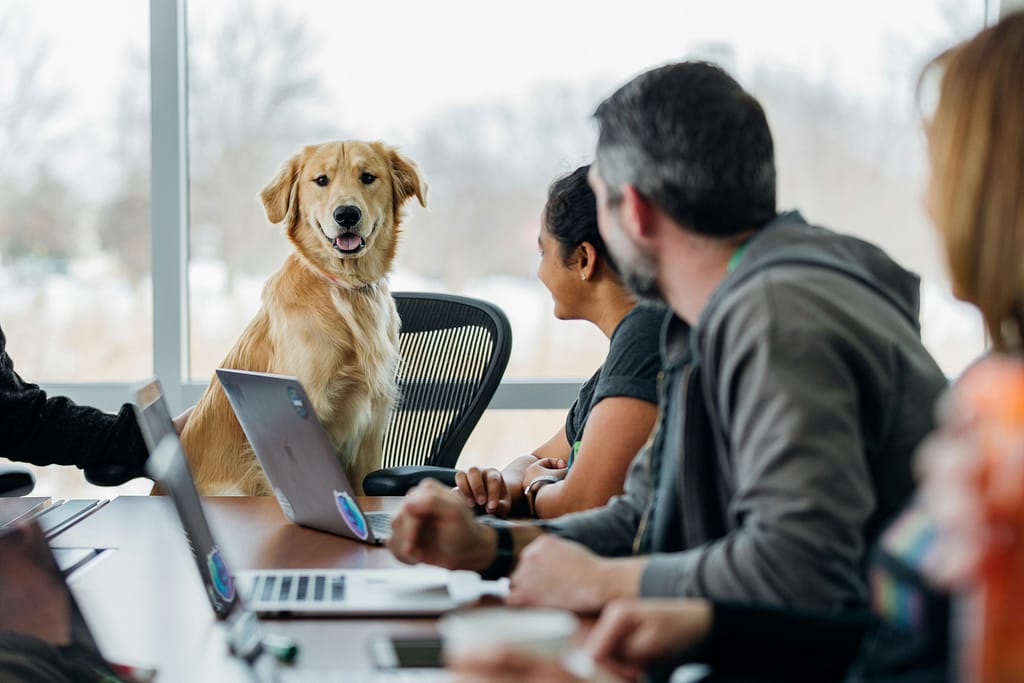“Best digital pet insurance apps transforming pet care in 2025”