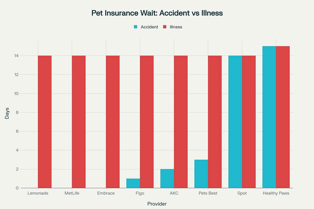 puppy at vet clinic – early insurance for dogs


