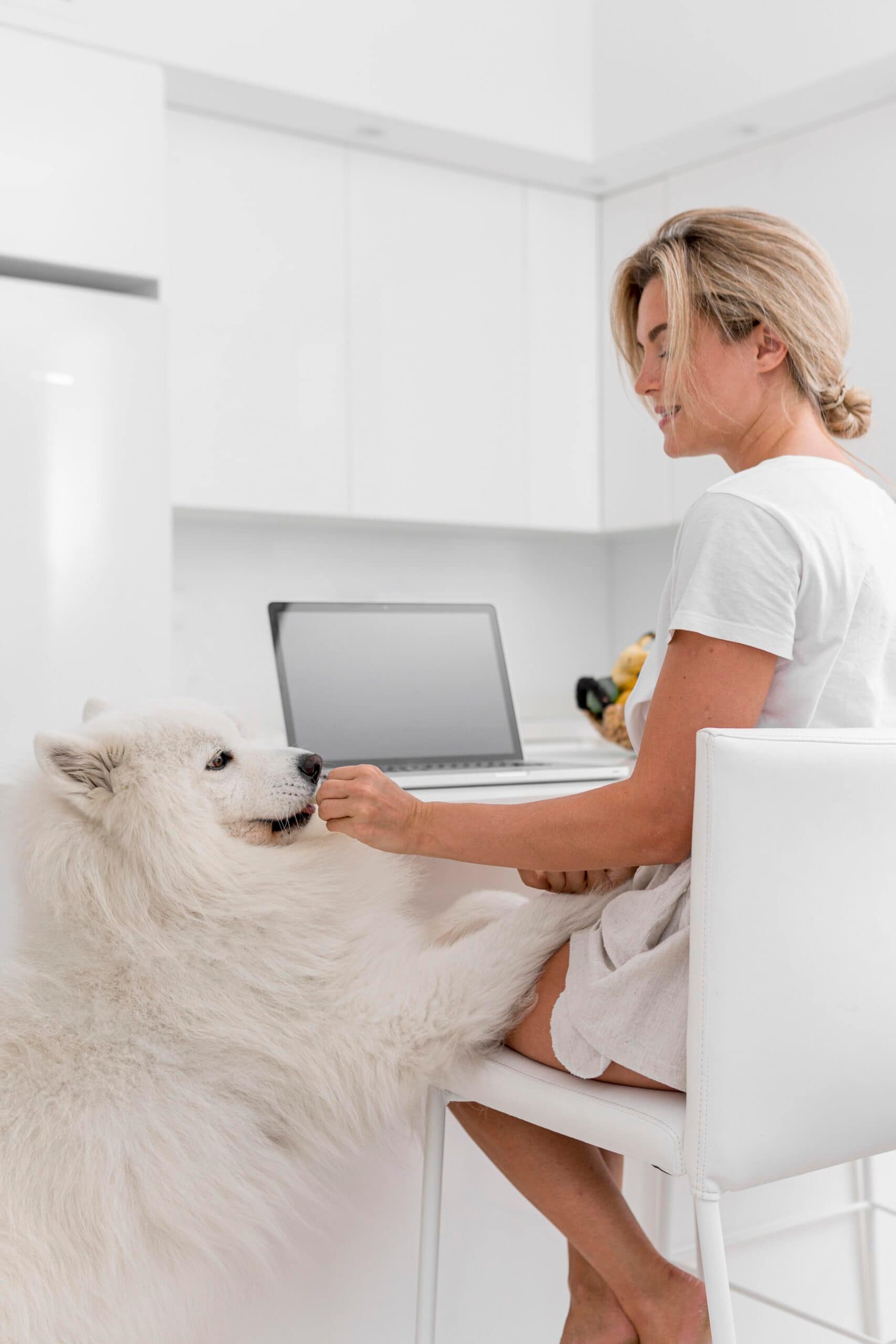 Happy dog sitting on a vet examination table with owner, symbolizing pet insurance coverage in 2025