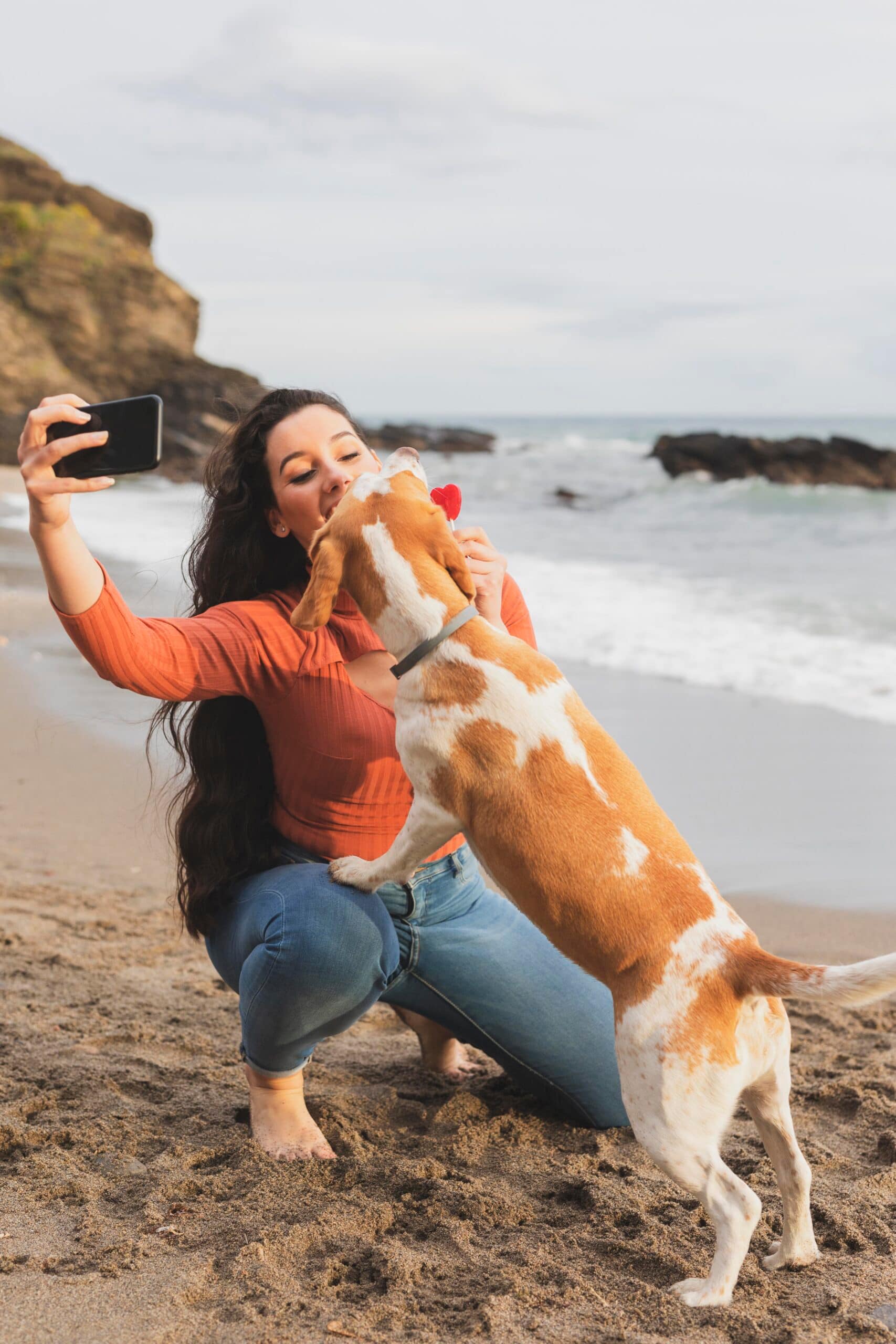 Golden Retriever at a sunny California beach