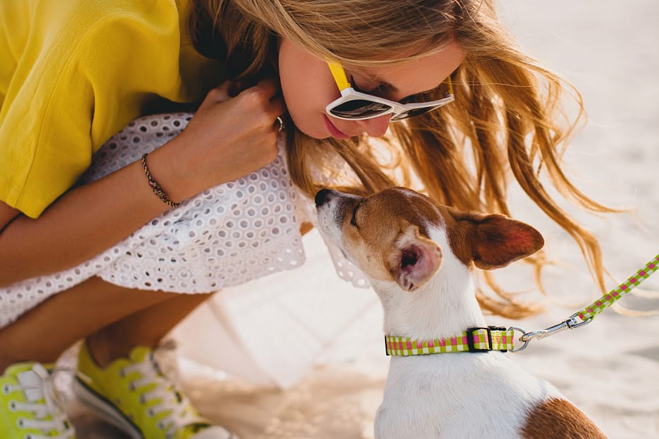 Labrador playing at Dog Beach, California