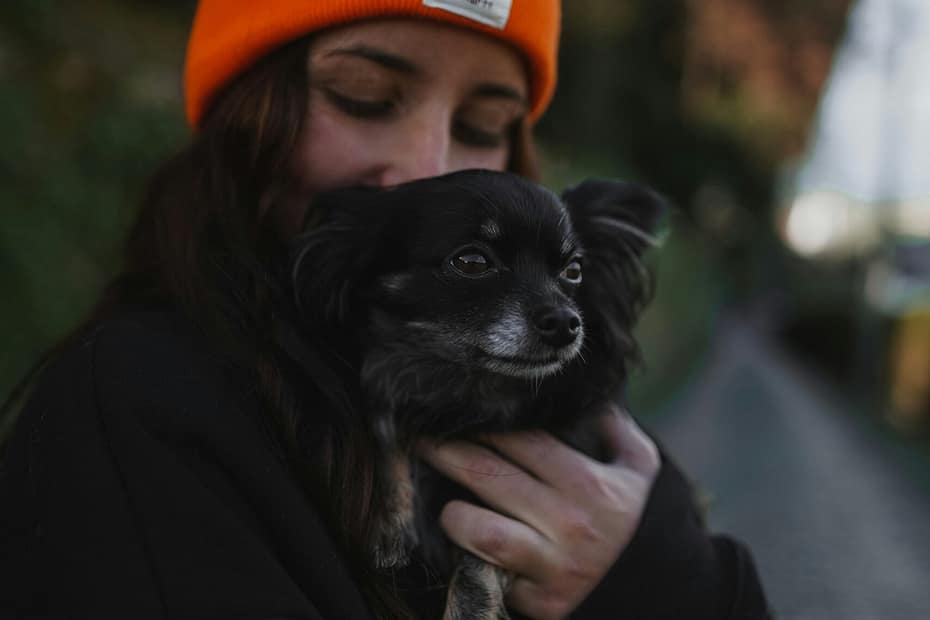 how to cancel pet insurance