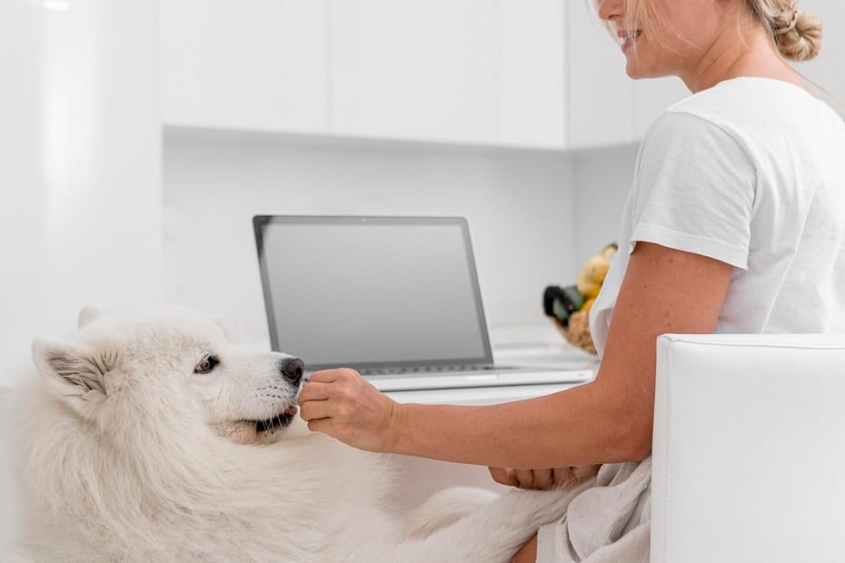 Happy dog sitting on a vet examination table with owner, symbolizing pet insurance coverage in 2025