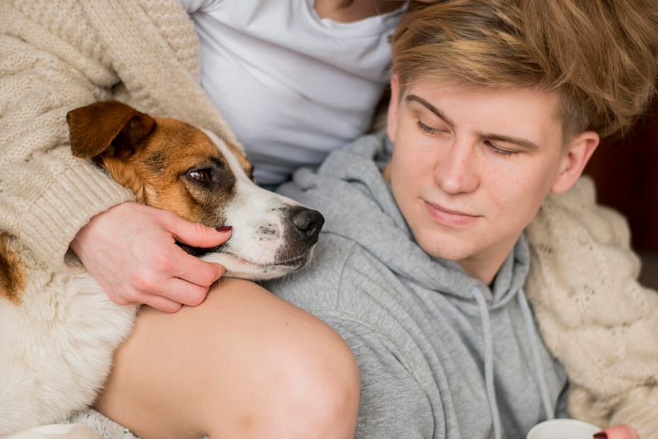 Two different dog breeds (e.g., Golden Retriever and French Bulldog) lying on a couch – “Different breed coverage under pet insurance”
