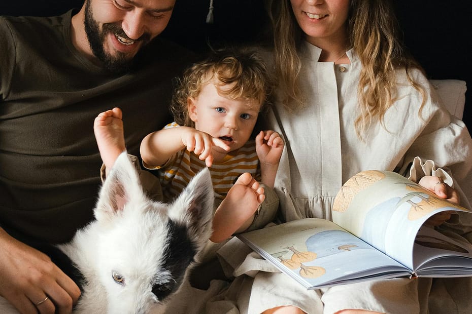 How to file a pet insurance claim in 2025