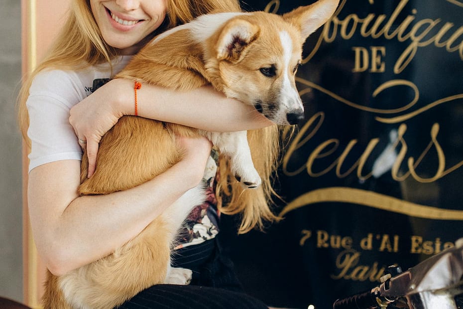 Happy dog with owner and vet bills in background