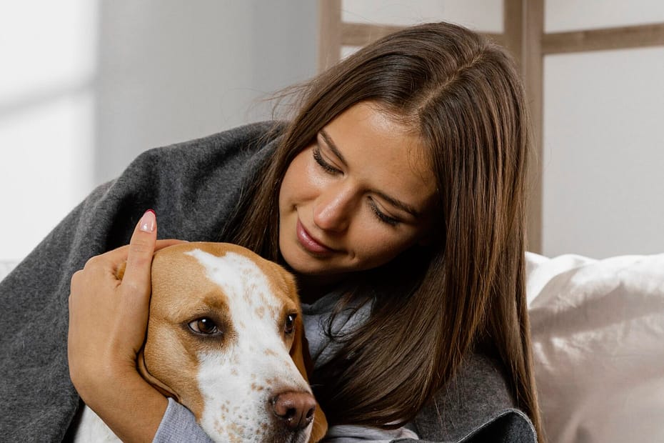 Dog at a vet clinic with owner checking pet insurance policy