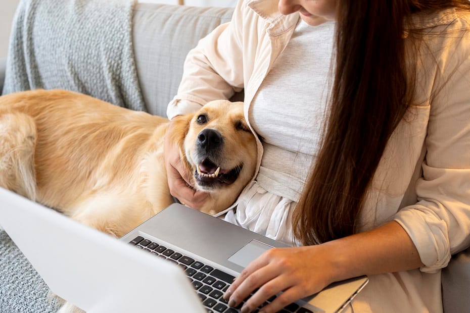 Happy dog covered by pet insurance in 2025