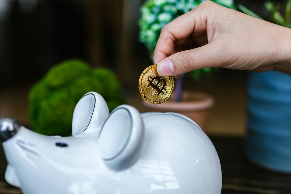 "Pet savings account with coins and vet bills"