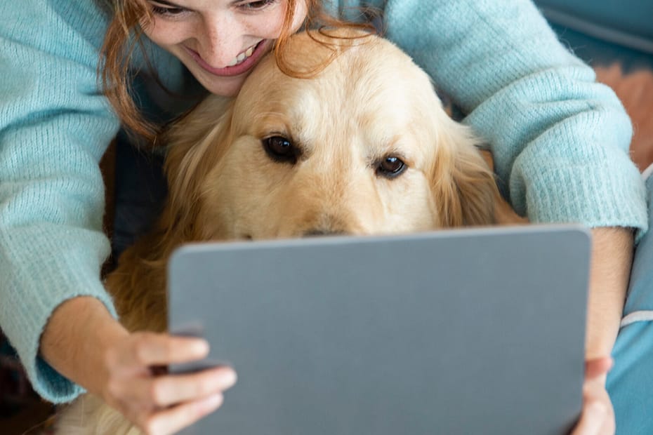 Pet parent comparing pet insurance quotes on laptop with happy dog beside – 2025
